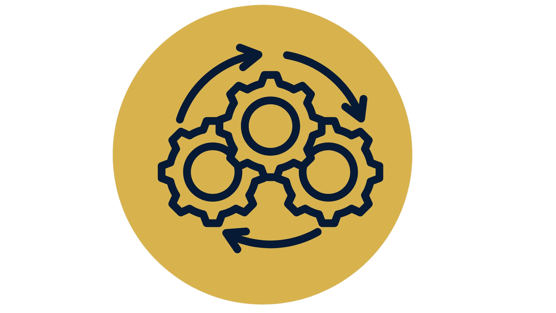 Inteligencia Operativa